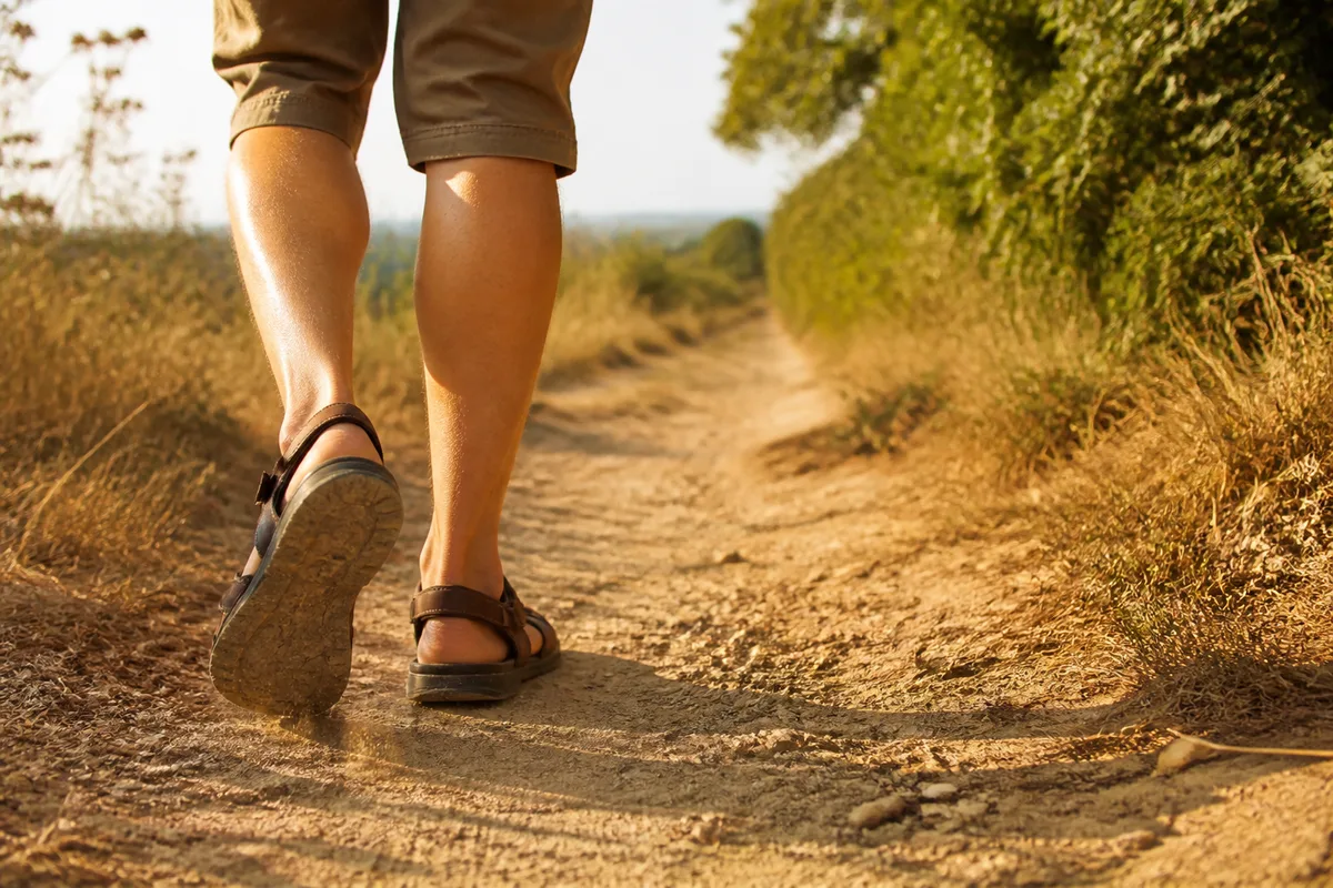 Marche estivale en sandales sur un chemin de campagne ensoleillé